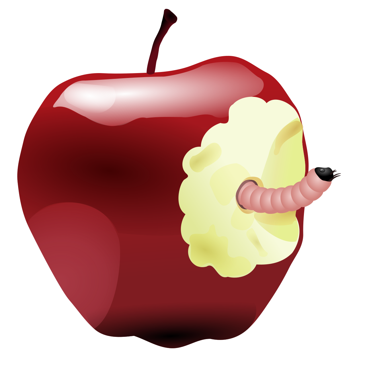 Worm